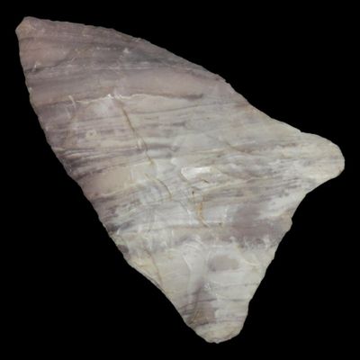 Sale Photo Thumbnail #710: 2" Holland Dalton, Springfield, Missouri, Found by Ronald Schumate, 10,000-9000 BP