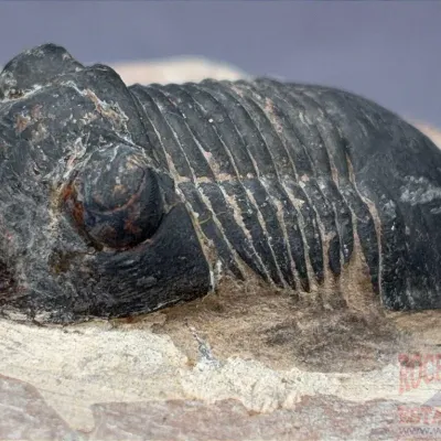 Sale Photo Thumbnail #210