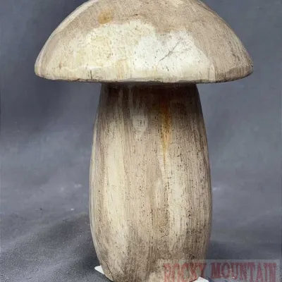 Sale Photo Thumbnail #229