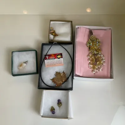 Boxed Fashion Jewelry Including Amber Leaf Necklace