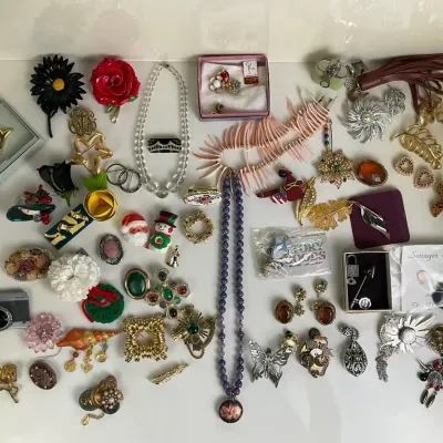 Fashion Jewelry Brooches, Pins, Necklaces and Accessories