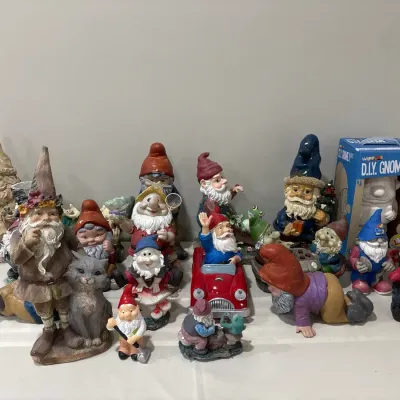 Unique Collection of Garden Gnome