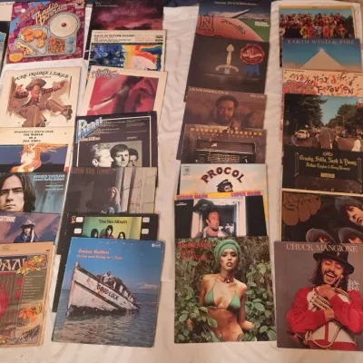 Vintage Old Records with Sleeves