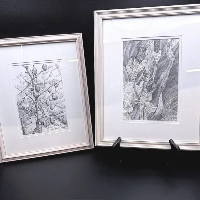  “Blues Of The Bayberry” & “#1 Iris Series” By Marilyn M. Cuellar Pencil Drawings