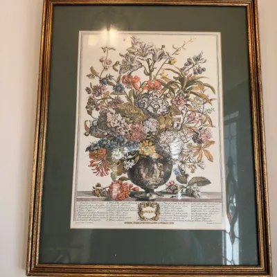Framed botanical floral still life print, gilt frame