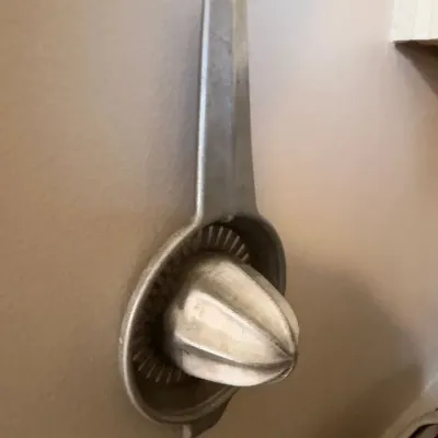 Metal hand-press citrus juicer