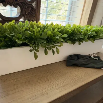 Faux boxwood greenery in white wood planter box