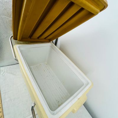 Lot 44 Coleman picnic basket