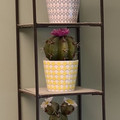 Vintage Metal Wall-Mounted Three-Tier Plant Stand with Arched Top
