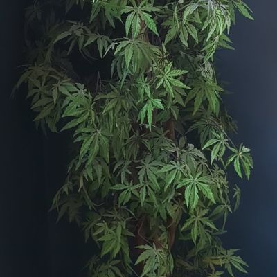 Artificial Japanese Maple Potted Tree