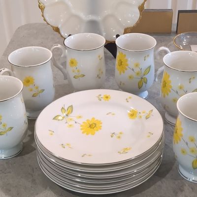 Sheffield Fine China "Sunshine" Tea Set