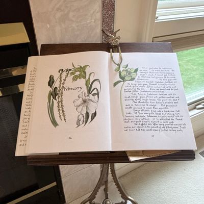 Vintage Botanical Illustration Book Stand