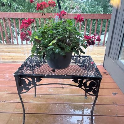 Wrought Iron Floral Motif Accent Table