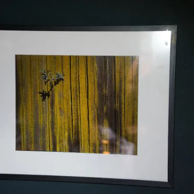 Sale Photo Thumbnail #108