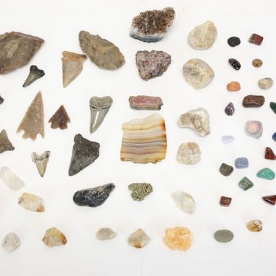 Sale Photo Thumbnail #208: Group of Fossilized Shark Teeth and Neolithic Tools and Arrowheads