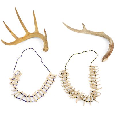 Sale Photo Thumbnail #379: Two Naturally Shed Deer Antlers