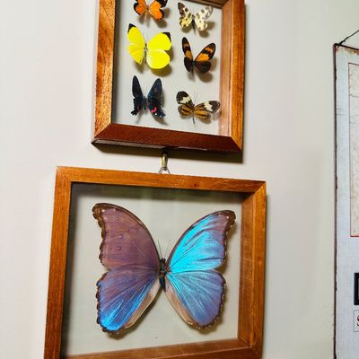 Sale Photo Thumbnail #47