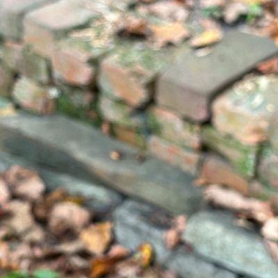 Sale Photo Thumbnail #40: A blurry, out-of-focus view of a weathered brick retaining wall or garden border covered in moss and fallen autumn leaves.