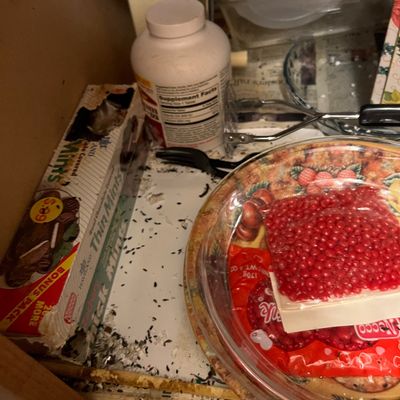 Sale Photo Thumbnail #144