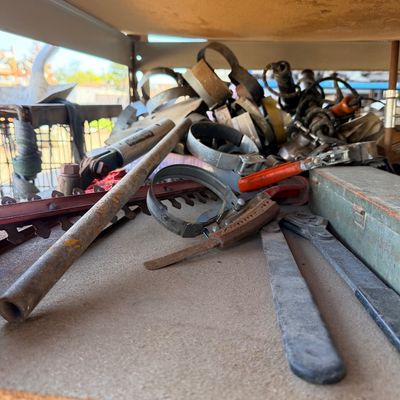 Sale Photo Thumbnail #641