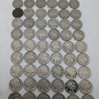 59 Buffalo Nickels