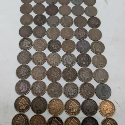 60+ Indian Head Pennies
