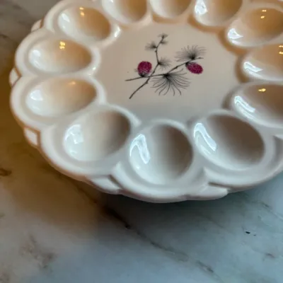 Deviled Egg dish