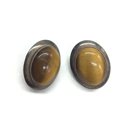 Navajo Tigers Eye earrings