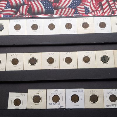 Sale Photo Thumbnail #311: (22) Assorted 1880s, 1890s, & Early 1900s Indian Head Cents