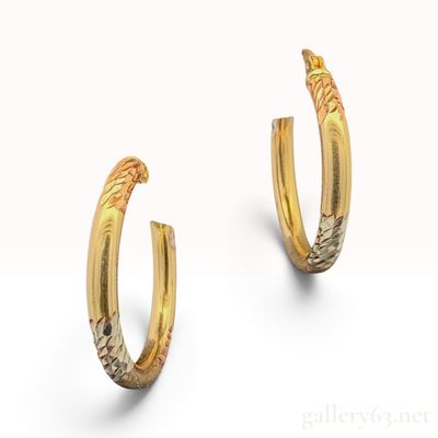 A Pair of 14K Tri-Color Gold Diamond-Cut Hoop Earrings