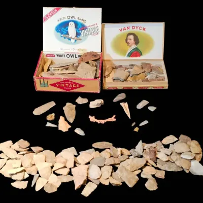 Curated Collection of Native American Lithic Artifacts and Fossils