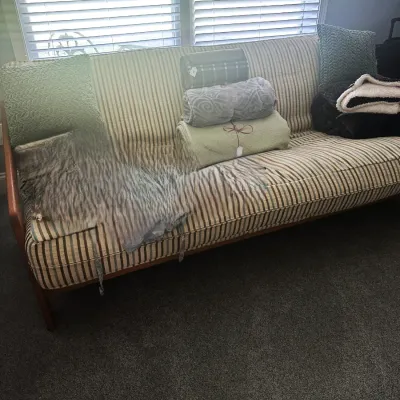 Sale Photo Thumbnail #79: Mid-century modern sofa featuring a wooden frame and striped upholstery, styled with various throw pillows and folded blankets.