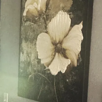 Sale Photo Thumbnail #22: Contemporary textured canvas wall art featuring two large white and gold flowers on a dark background.