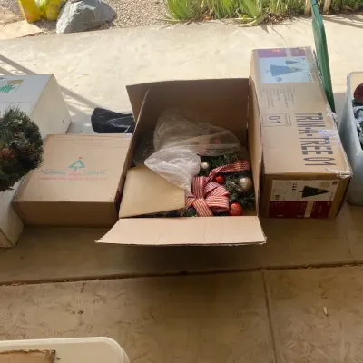 Christmas Trees, Wreaths, And More