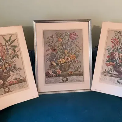 Robt. Furber’s “Twelve Months Of Flowers”, January, May And June 