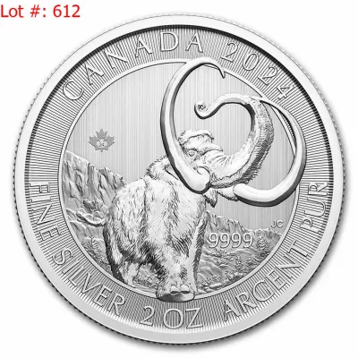 Sale Photo Thumbnail #612