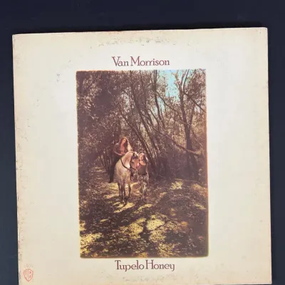 Van Morrison 'Tupelo Honey' Warner Bros. Vintage Vinyl LP