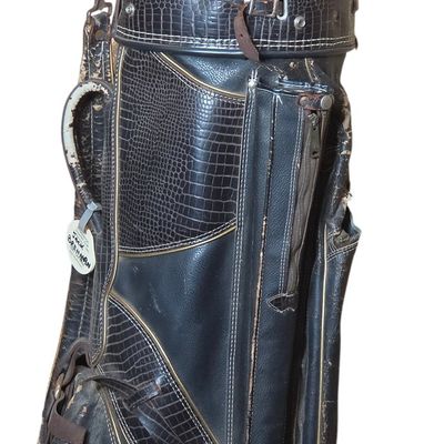 Sale Photo Thumbnail #860: A Vintage Faux Crocodile Skin PGA Golf Equipment Bag and a Mixed Set of MacGregor and Northwestern Golf Clubs