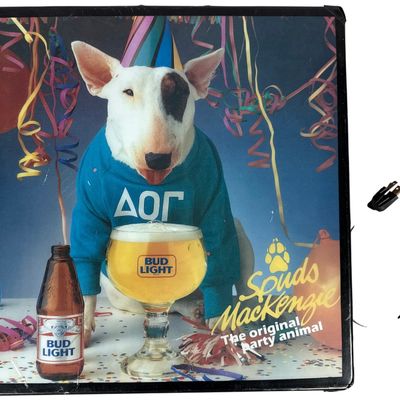 Sale Photo Thumbnail #648: Vintage Bud Light Spuds MacKenzie Illuminated Plastic Bar Sign