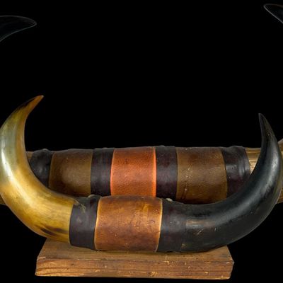 Sale Photo Thumbnail #653: Mounted Pair of Double Bovine Steer Horns on Wooden Base