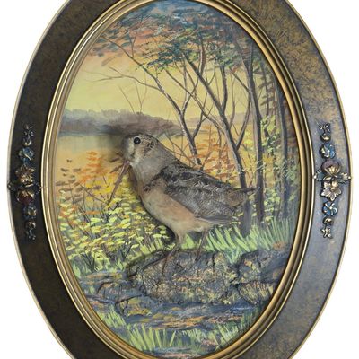 Sale Photo Thumbnail #590: Griffin 'American Woodcock' Mixed-Media Taxidermy Diorama