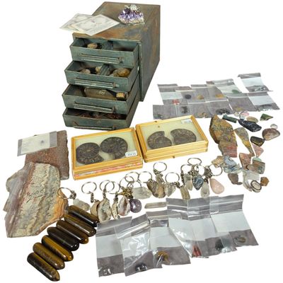 Sale Photo Thumbnail #425: A Collection of Mineral and Fossil Specimens in a Vintage Industrial Five-Drawer Metal Cabinet