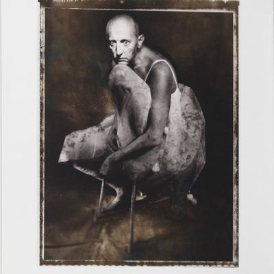 Sale Photo Thumbnail #170: William Ropp, French 1960-, Untitled, Gelatin Silver Print, Selenium Toned