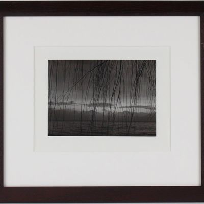 Philippe Pache, Swiss 1961-, Le L?man (Lake Geneva), Gelatin Silver Print, Selenium Toned