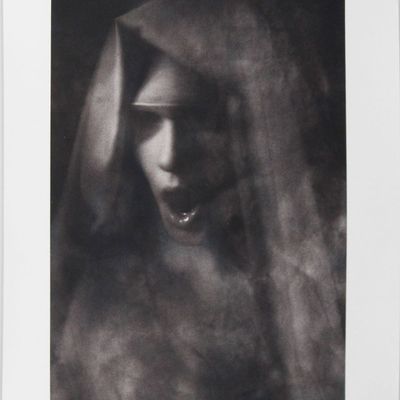 Sale Photo Thumbnail #167: William Ropp, French 1960-, Untitled, Gelatin Silver Print, Selenium Toned
