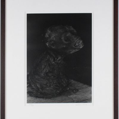 Sale Photo Thumbnail #146: Valdir Cruz, Brazilian 1954-, Untitled, Gelatin Silver Print, Selenium Toned
