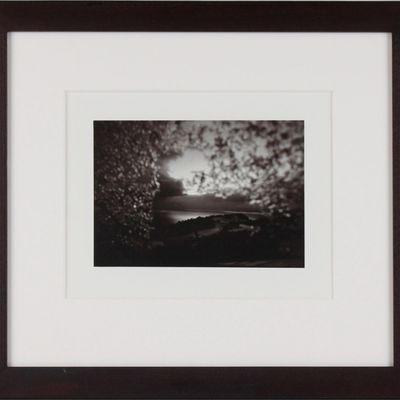 Philippe Pache, Swiss 1961-, Le L?man (Lake Geneva), Gelatin Silver Print, Selenium Toned
