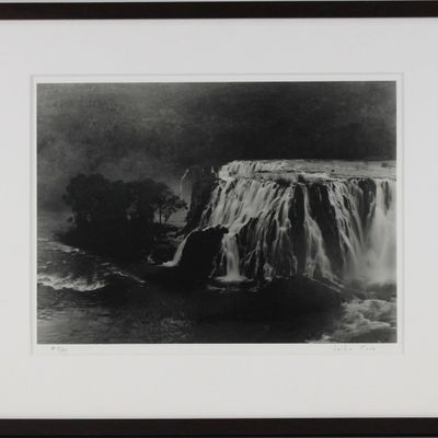 Sale Photo Thumbnail #142: Valdir Cruz, Brazilian 1954-, Salto Vaca Branca, 1994, Gelatin Silver Print, Selenium Toned