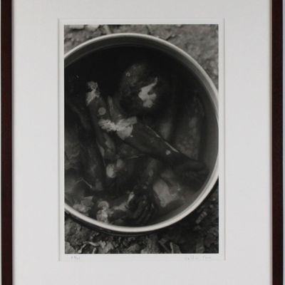 Valdir Cruz, Brazilian 1954-, Boiled Monkey, Gelatin Silver Print, Selenium Toned
