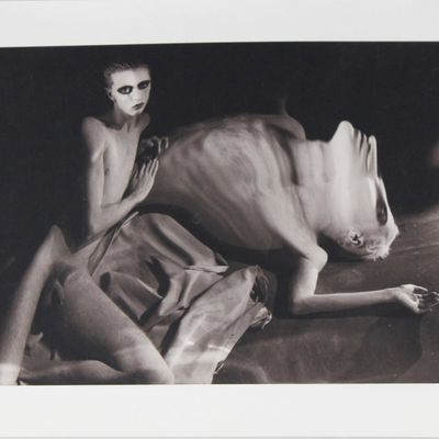 Sale Photo Thumbnail #168: William Ropp, French 1960-, Untitled, Gelatin Silver Print, Selenium Toned